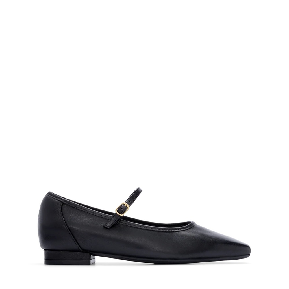 Bared Surfbird Black Flats (like new)